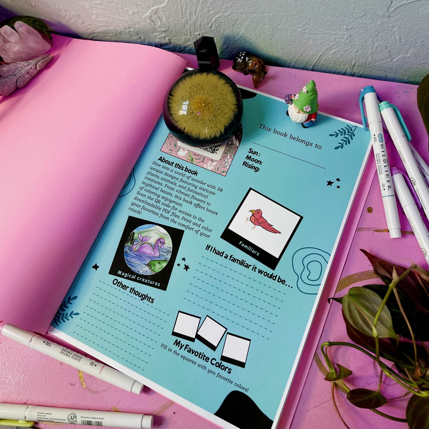 Intro Page