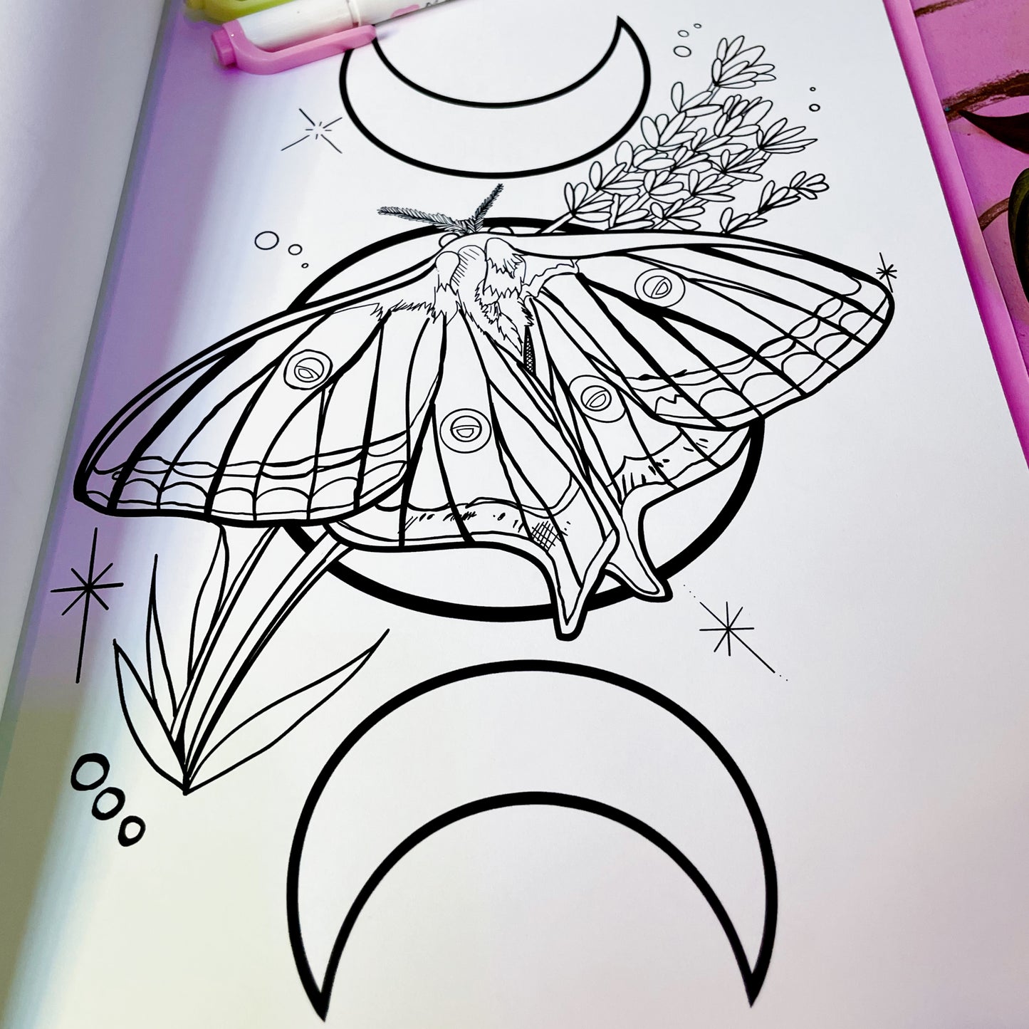 Spanish Moon Moth