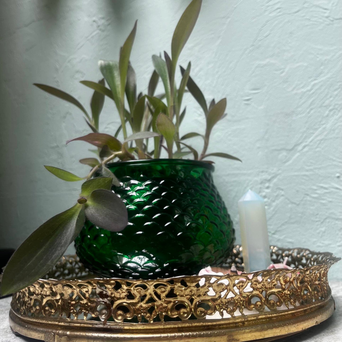 E.O Brody Vintage 1960s Emerald Glass Fish Scale Planter with Purple Heart Plant
