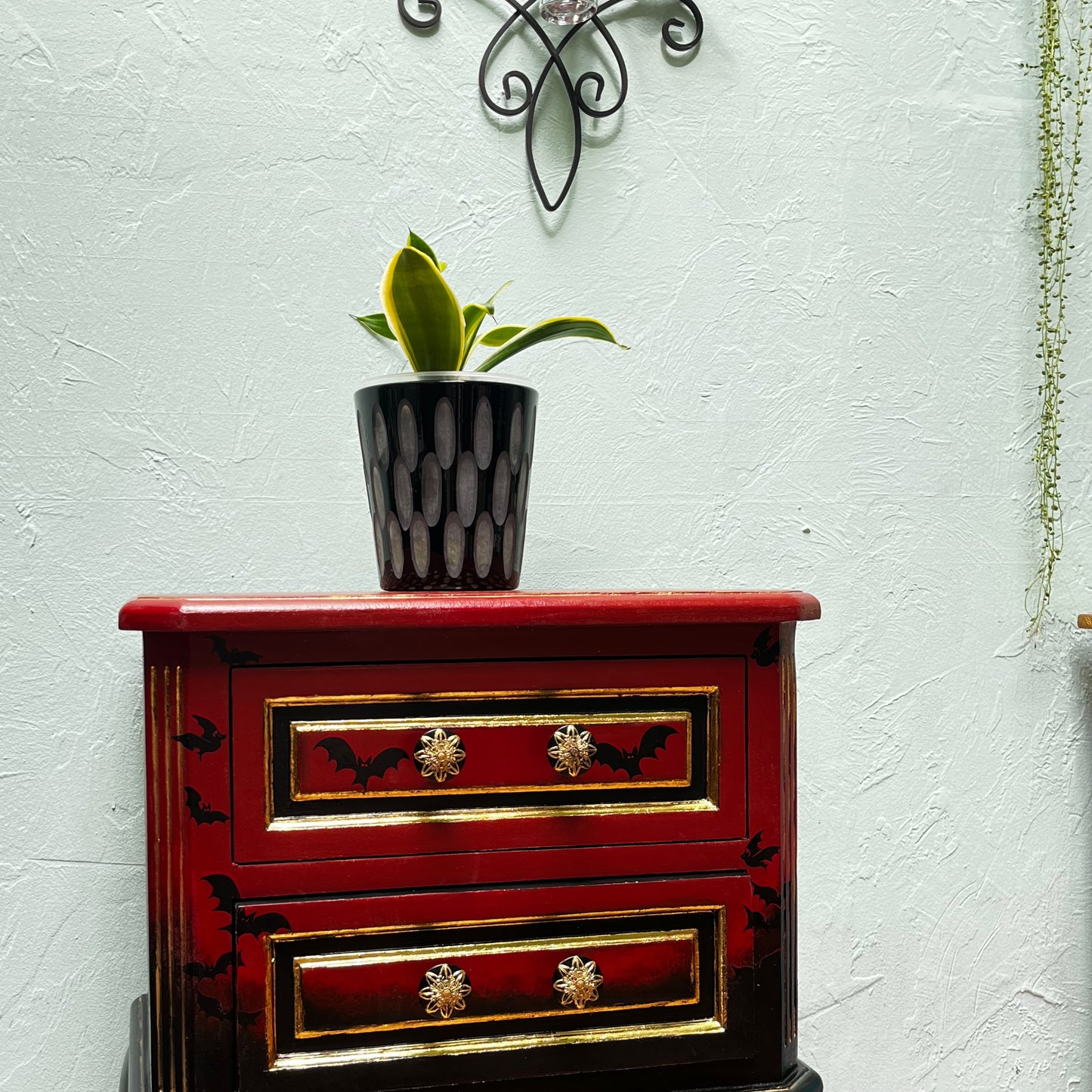 Gothic Enchantment Snake Plant: Elegant Black Ceramic Pot with Frosted Glass Details