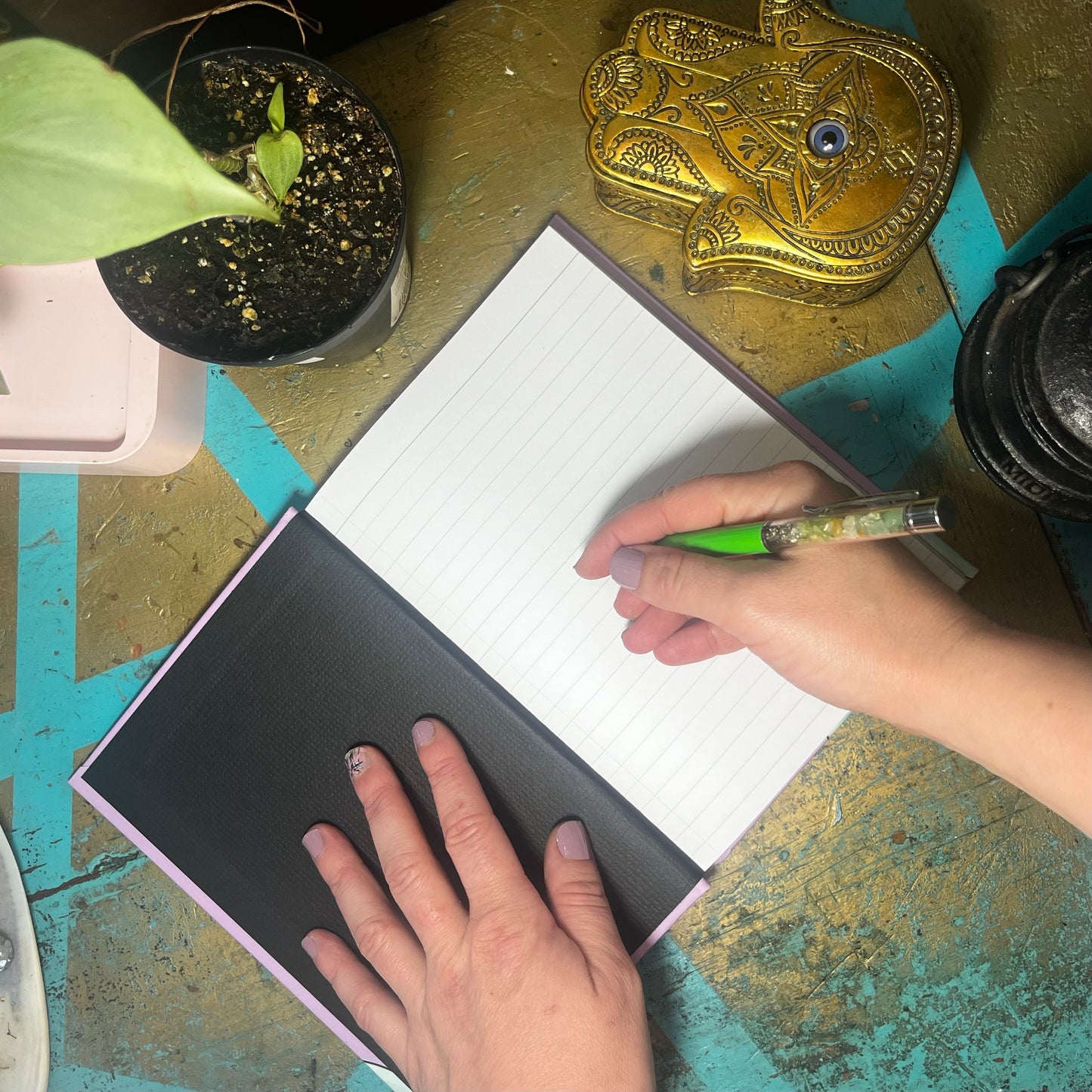 Cactus Oasis Blank Notebook
