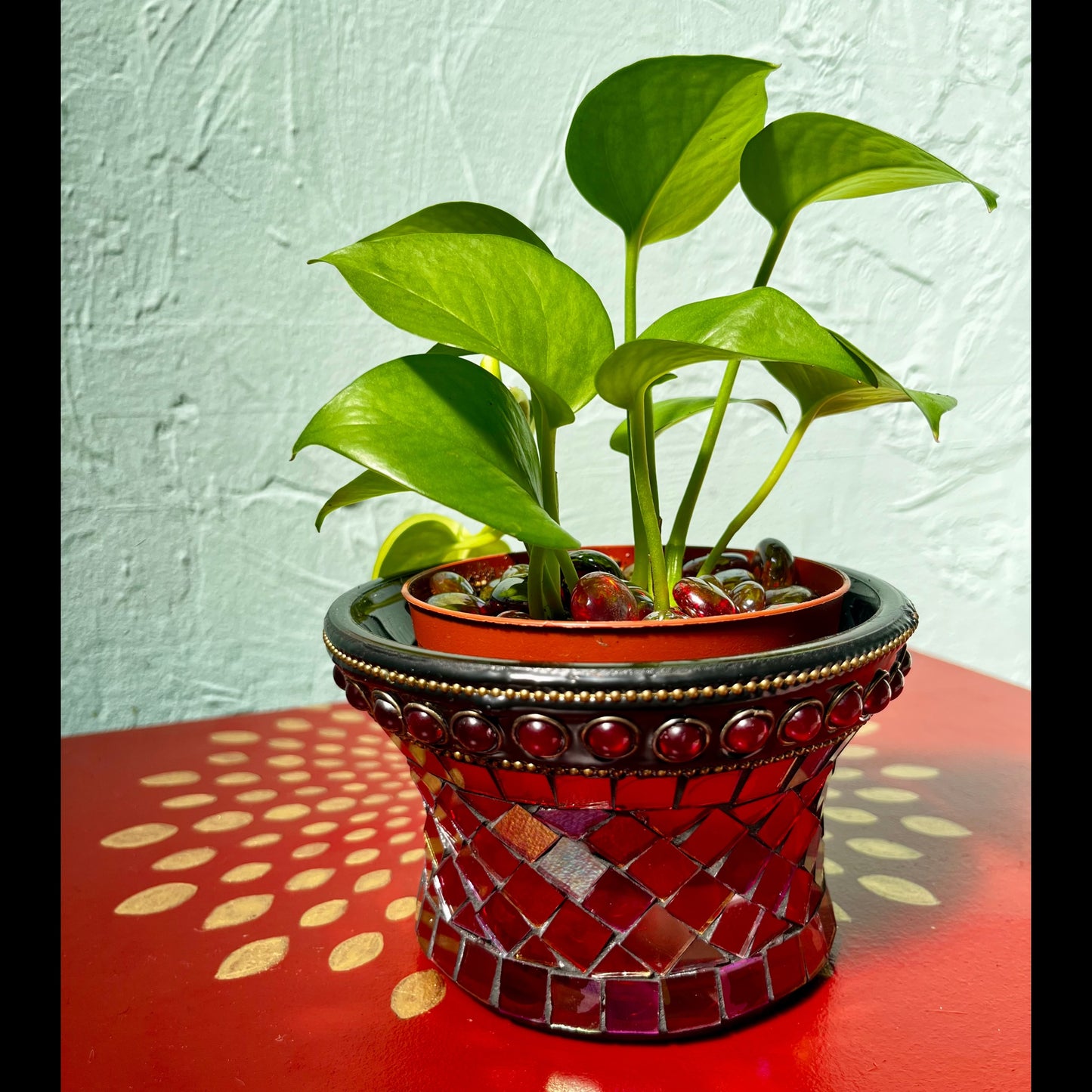Radiant Ruby Mosaic Pothos Houseplant Magick