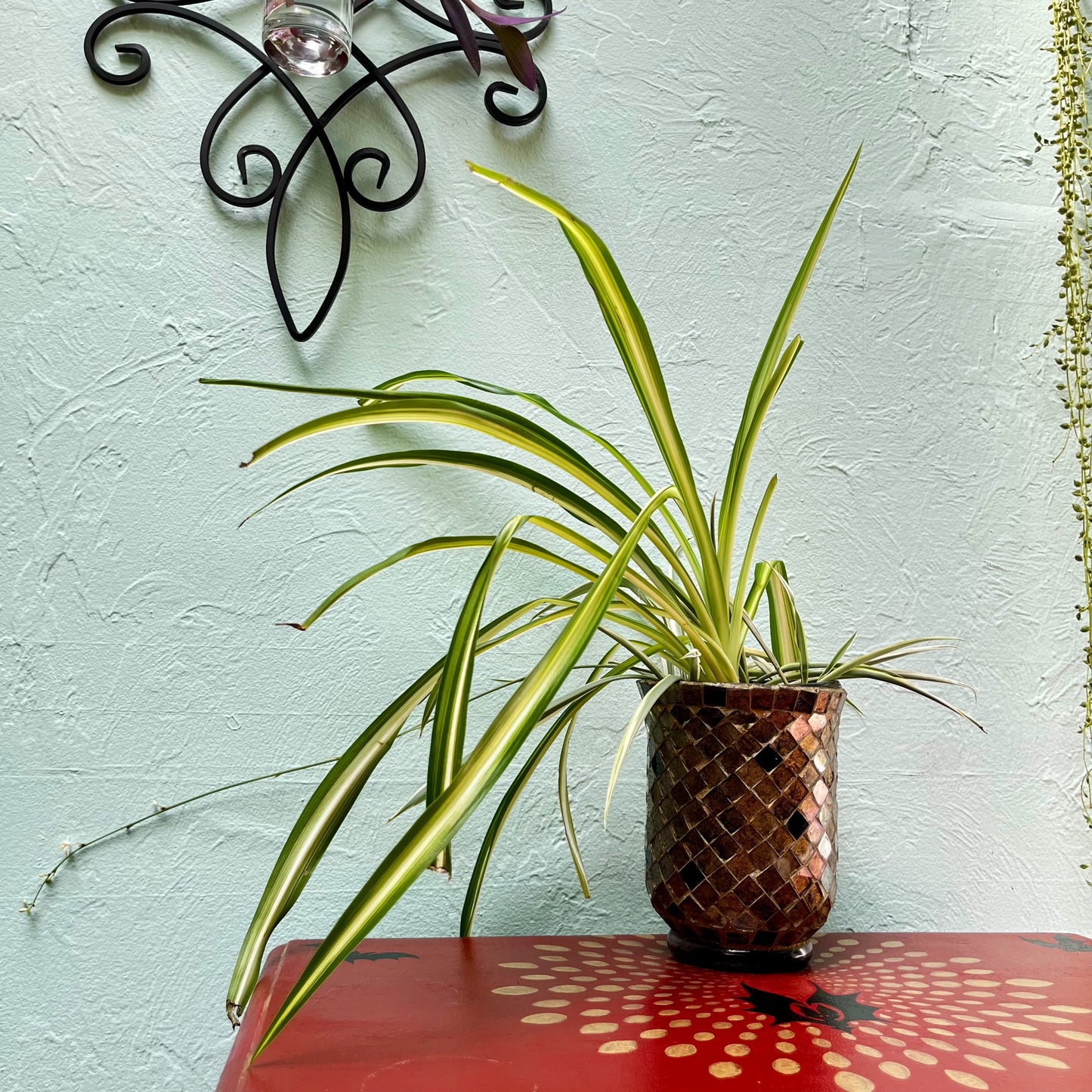 Whimsical Fall Decor: Tall Golden Mosaic Planter & Air-Purifying Spider Plant