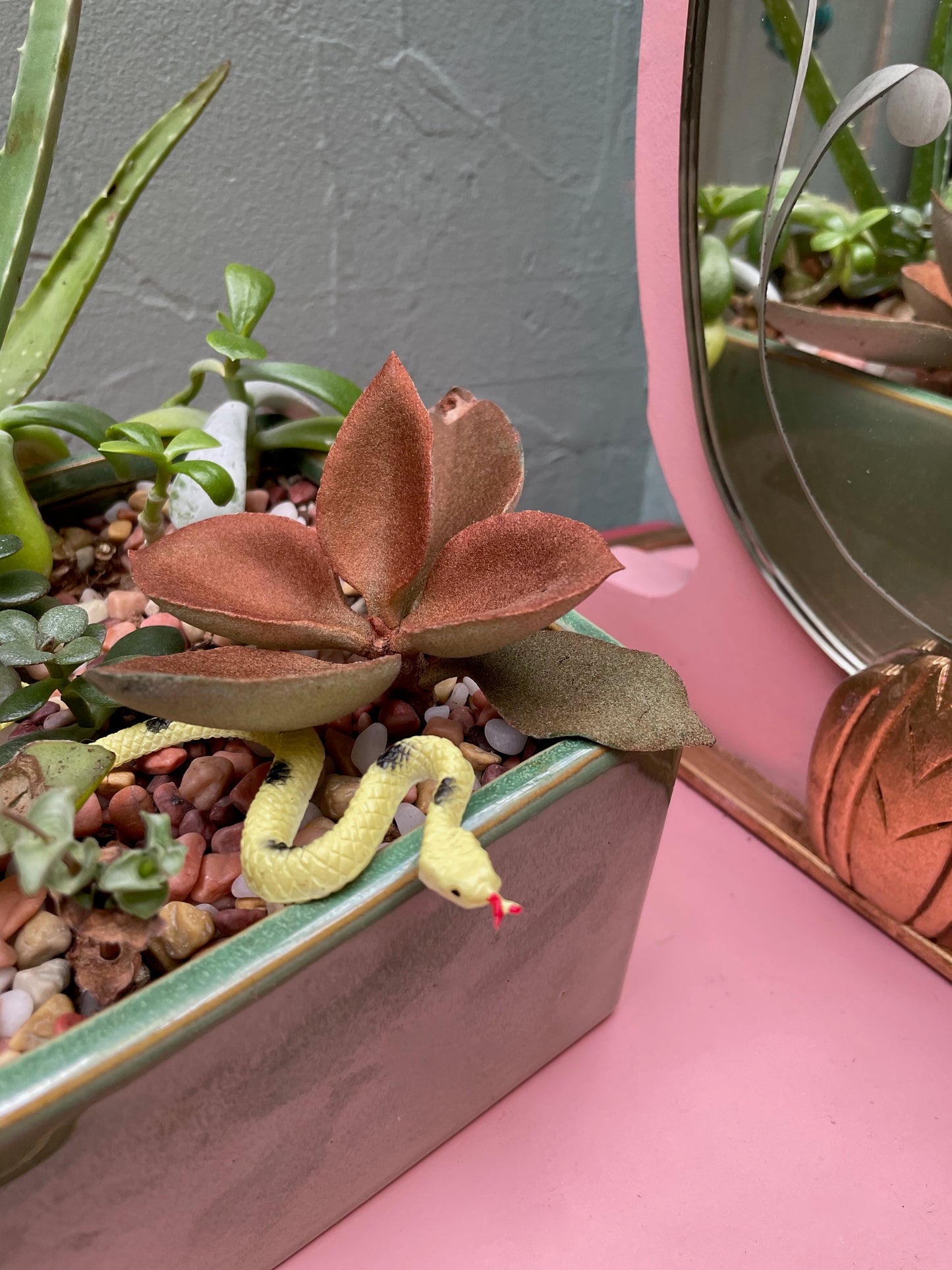 Square Sage Succulent Jungle Arrangement