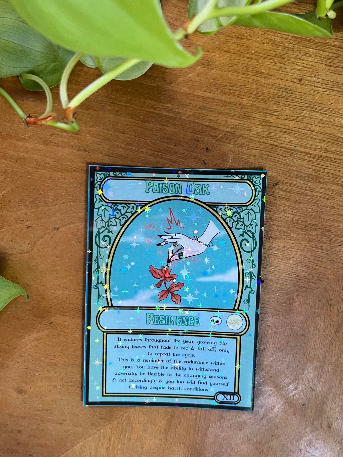 Magick the Gardening a Plant Oracle Deck