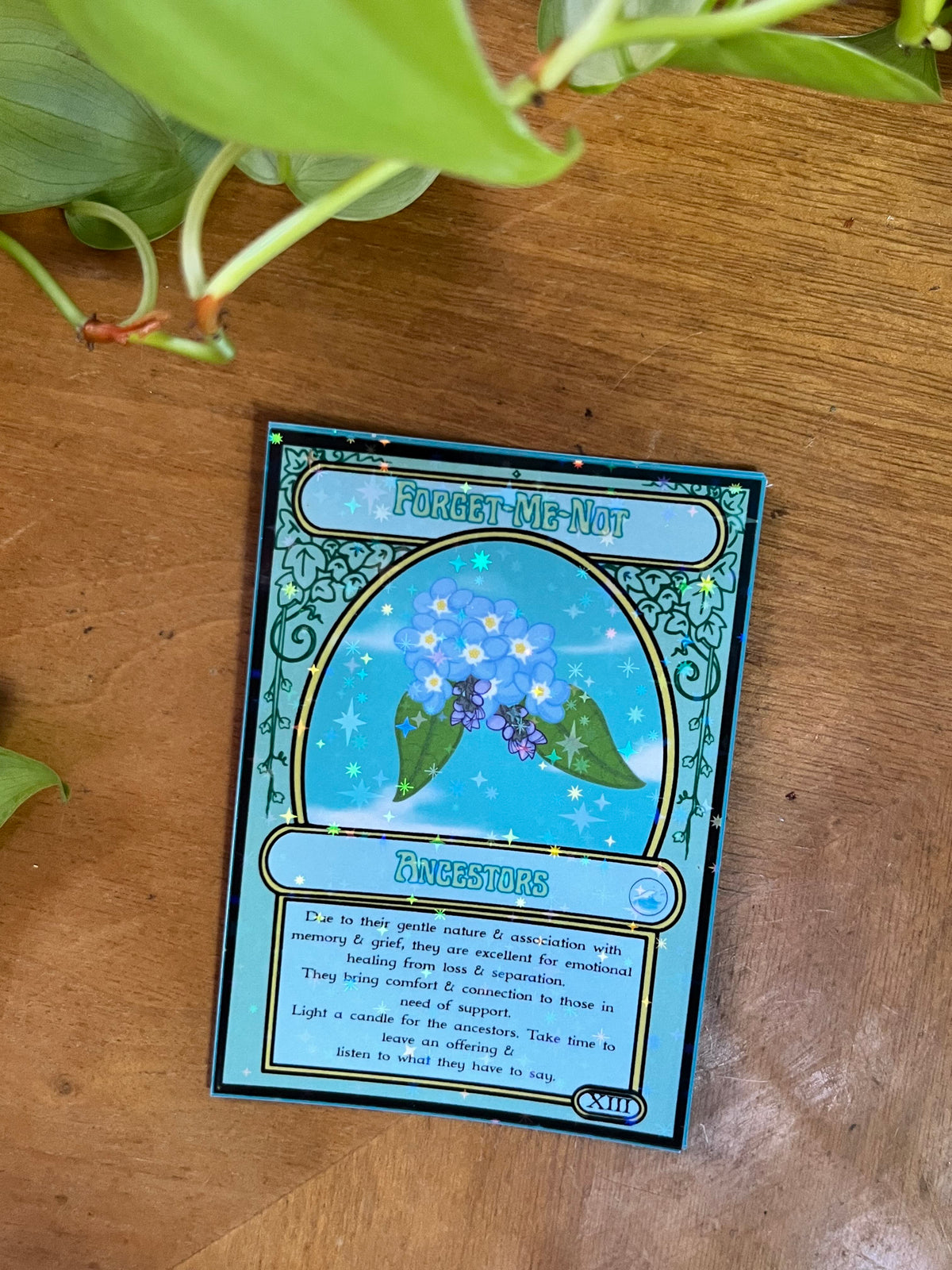 Magick the Gardening a Plant Oracle Deck