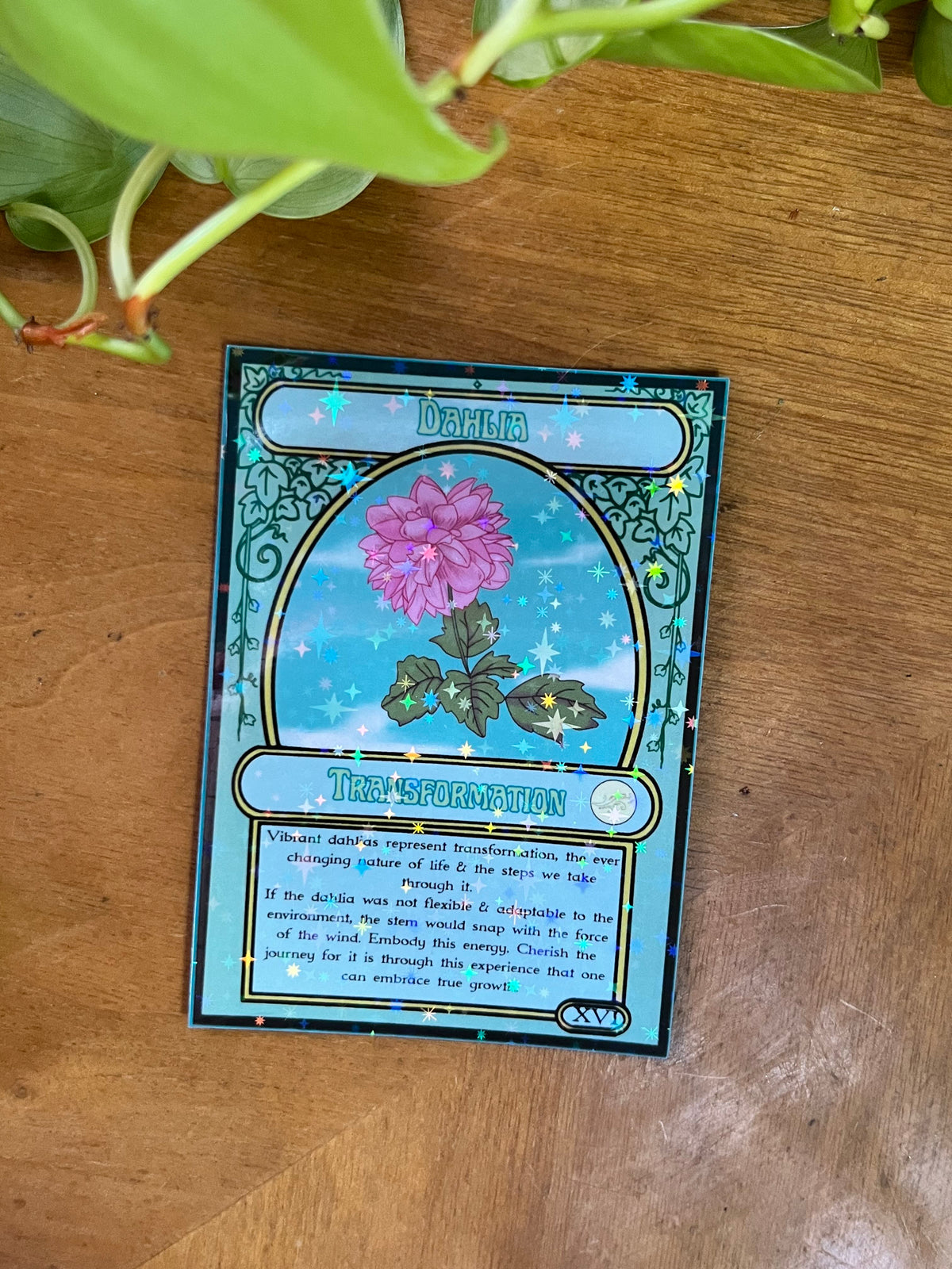 Magick the Gardening a Plant Oracle Deck