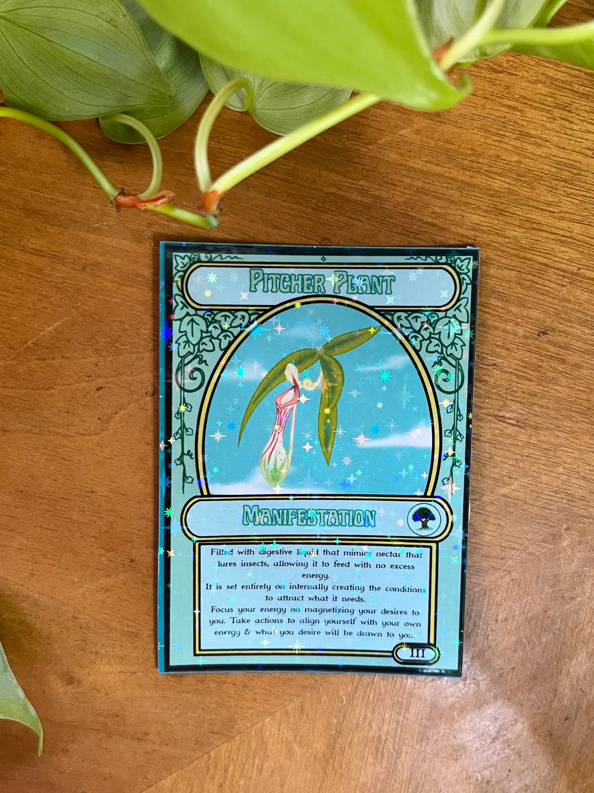 Magick the Gardening a Plant Oracle Deck