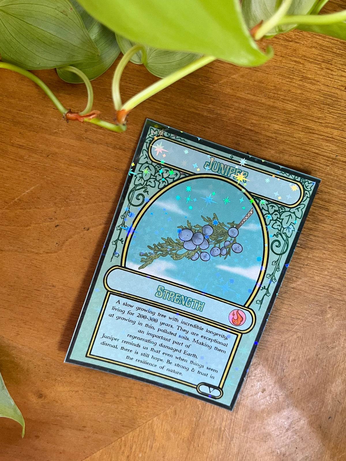 Magick the Gardening a Plant Oracle Deck