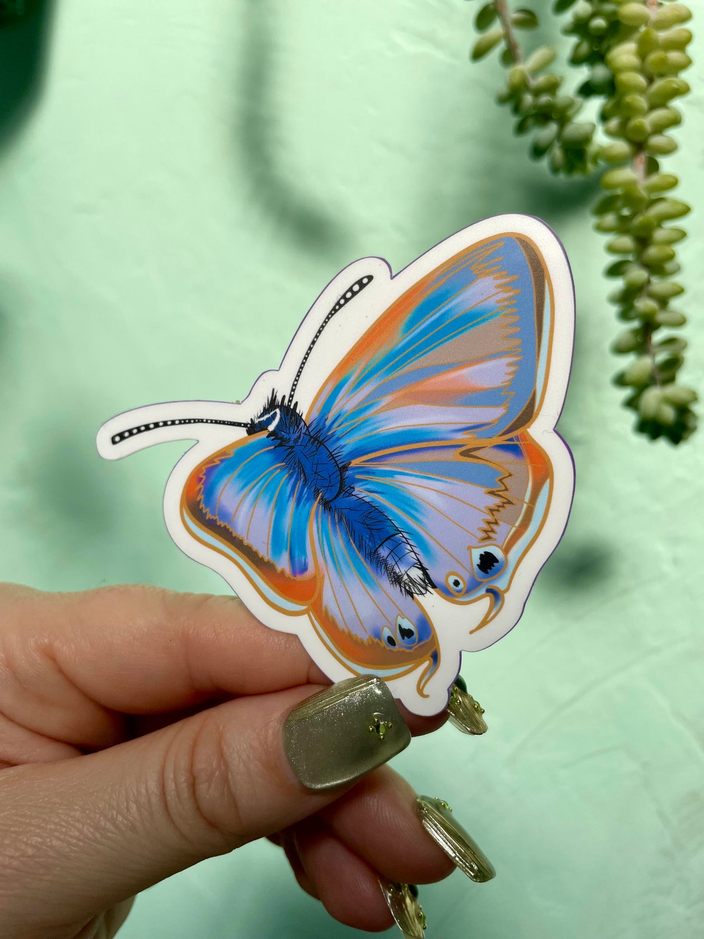 Orange & Blue  Butterfly Glossy Vinyl Sticker