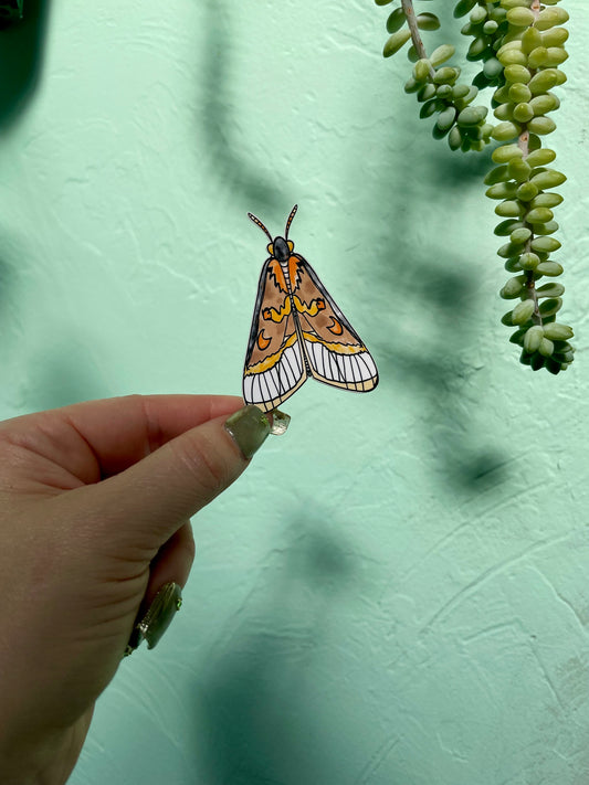 Orange & Brown Moth Glossy Vinyl Sticker