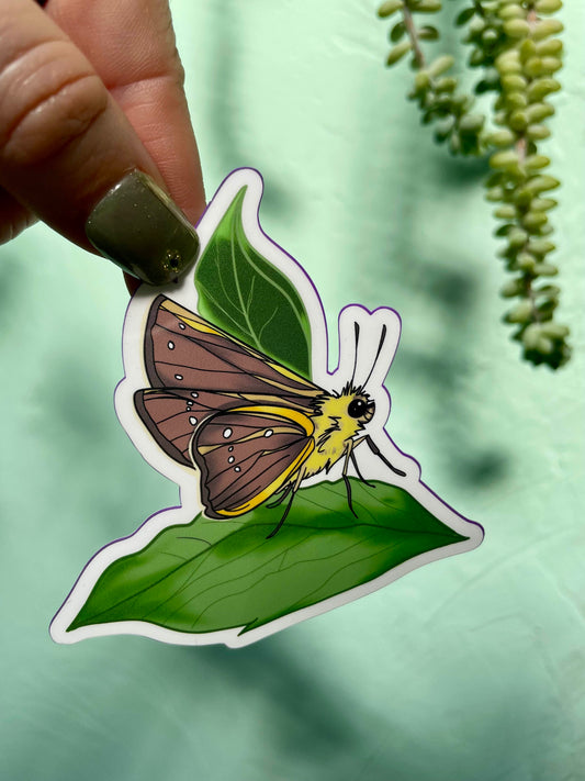 Brown & Yellow Moth Glossy Vinyl Sticker
