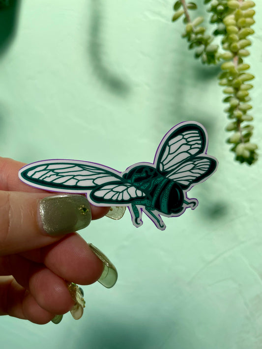 Cicada in Flight Glossy Vinyl Sticker