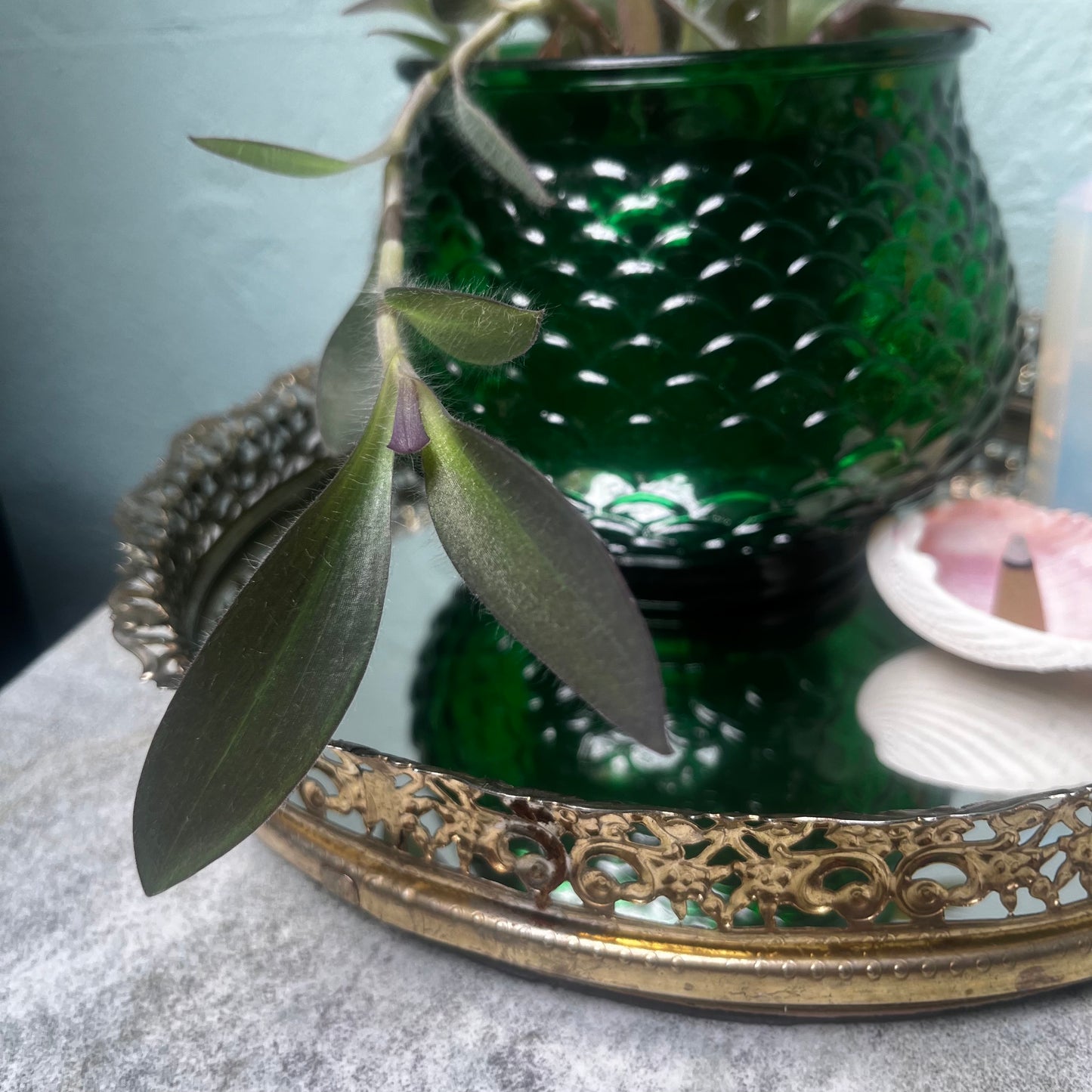 E.O Brody Vintage 1960s Emerald Glass Fish Scale Planter with Purple Heart Plant