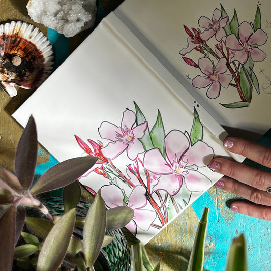 Pink Oleander Botanical Illustration Blank Journal