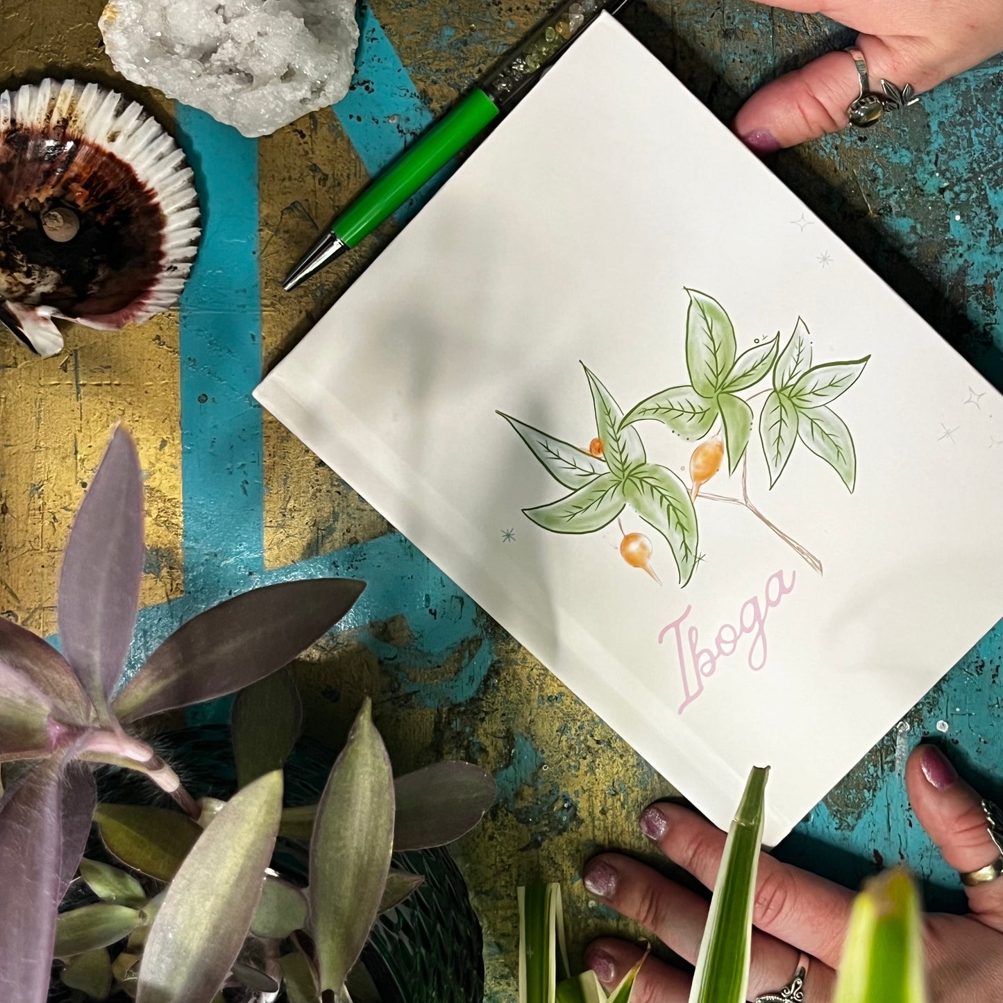 Iboga Tree Botanical Illustration Notebook