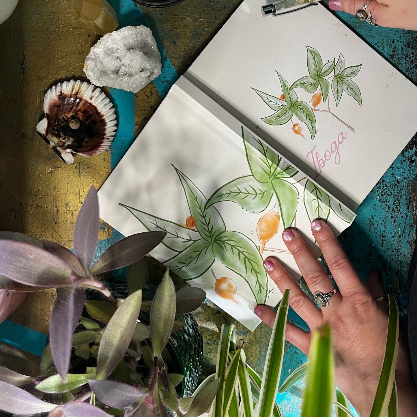 Iboga Tree Botanical Illustration Notebook