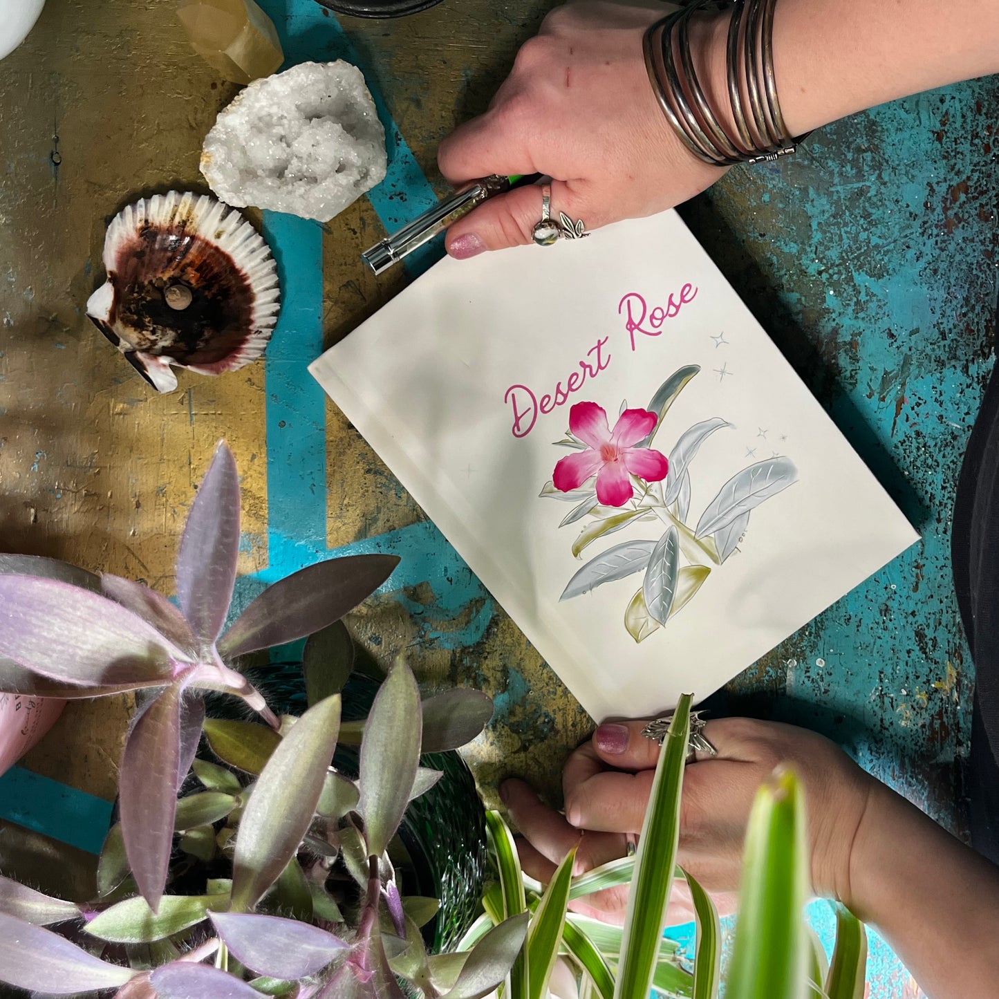 Desert Rose Botanical Illustration Journal