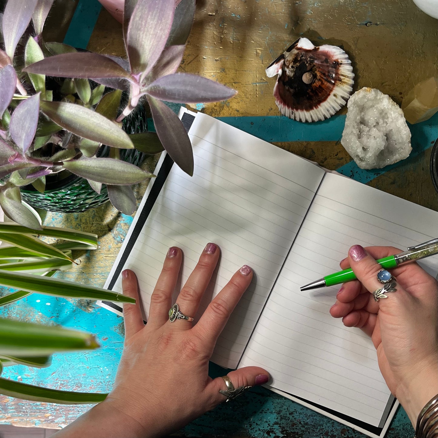 Desert Rose Botanical Illustration Journal