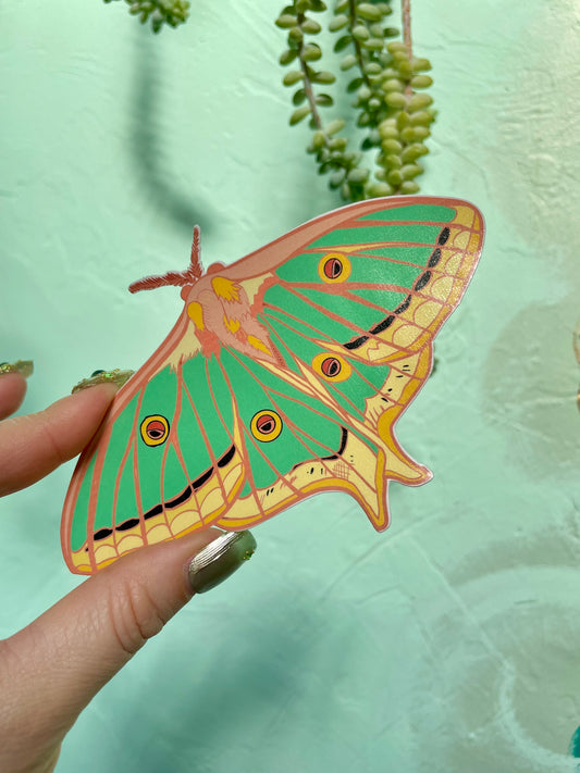 Luna Moth Glossy Vinyl Sticker