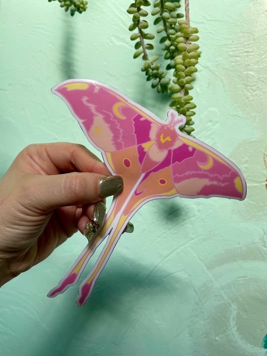 Hot Pink Chinese Moon Moth Glossy Vinyl Sticker