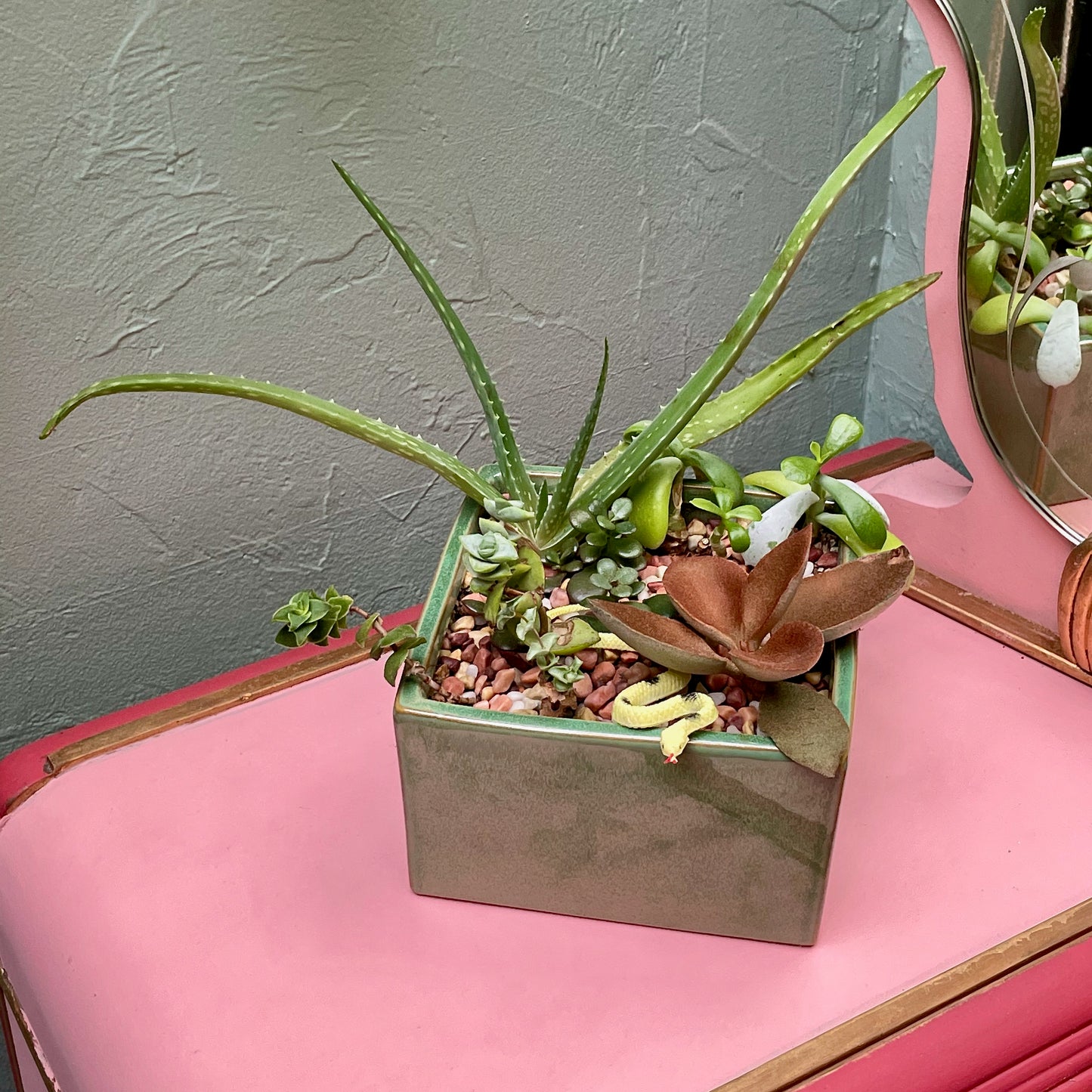 Square Sage Succulent Jungle Arrangement