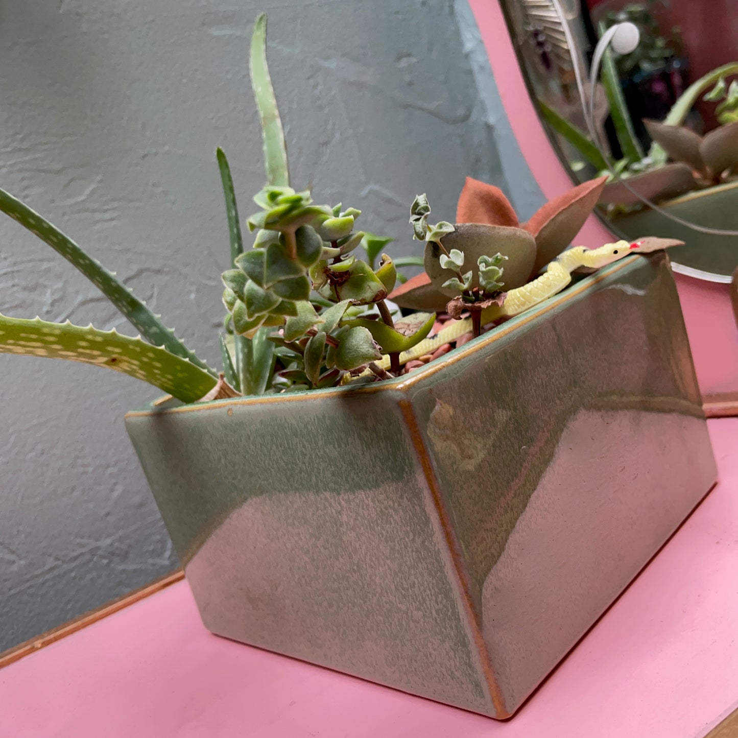 Square Sage Succulent Jungle Arrangement